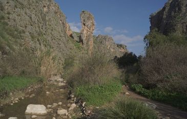 נחל עמוד תחתון (2)