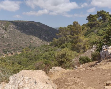 תמונה מתוך למטייל בישראל (טיולי)