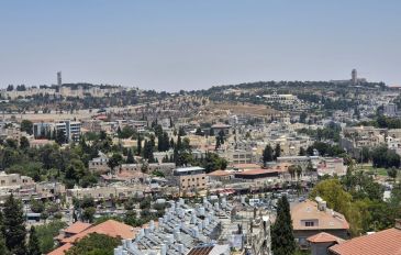 תצפית על העיר, סיור בשכונה פחות מוכרת, ביקור בסטודיו לאומנות טלאים (מי שמע על כך). (2)
