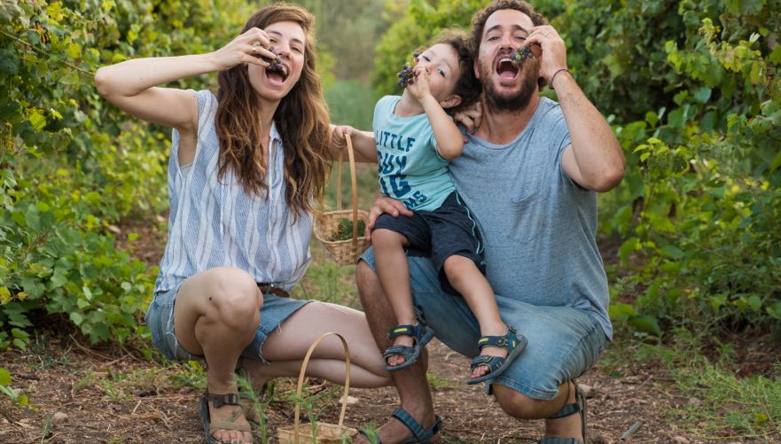לקטוף ולטעום ישר מהעץ | צילום: באדיבות משק אופי