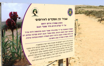 שמורת אירוס ירוחם (2)