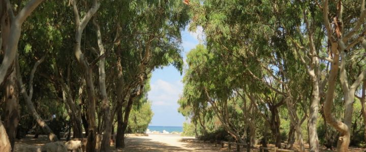 חניון חוף בצת (1)