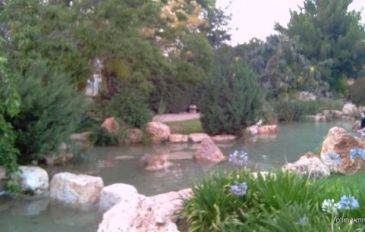 הגן היפני בחולון (2)