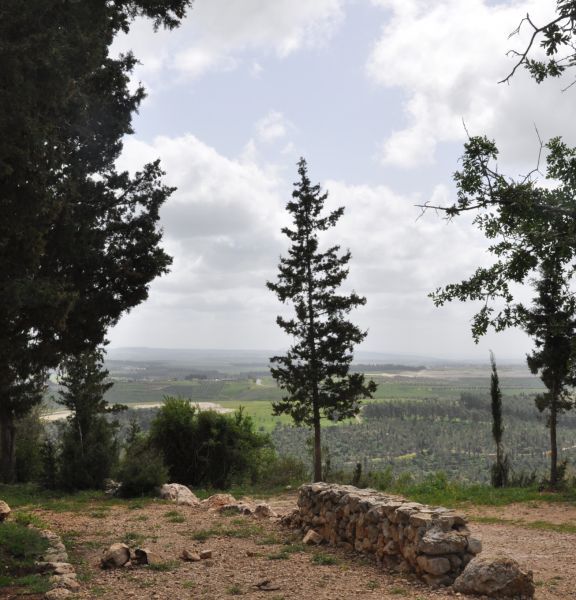 תמונה של יער קרן הכרמל - למטייל בישראל (טיולי)