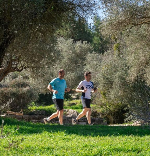 תמונה של חמשוש בירושלים: חופשה בניחוח חו"ל עם טוויסט מקומי - למטייל בישראל (טיולי)