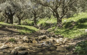 עוקפים את התורים: 20 טיולים יפים ולא עמוסים לחול המועד פסח (3)