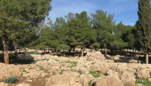 תמונה של אנדרטת מרדף המערה - טיולי