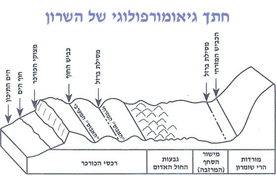 תמונה מתוך אתר טיולי