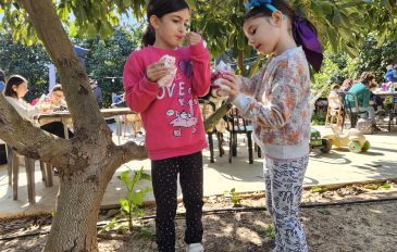קפה בפטל: עגלת קפה וגלידה במרכז (2)