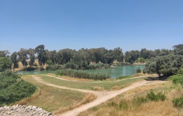 יום כיף באזור פתח תקווה: טיול קליל ופיקניק במקורות הירקון (2)