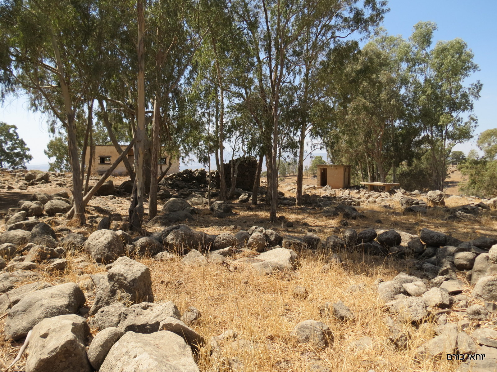שרידי הכפר הסורי | צילום: יוחאי כורם