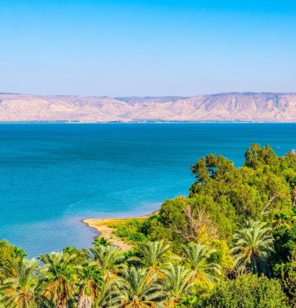 תמונה של חוף בורה בורה (רקת) בכינרת - למטייל בישראל (טיולי)