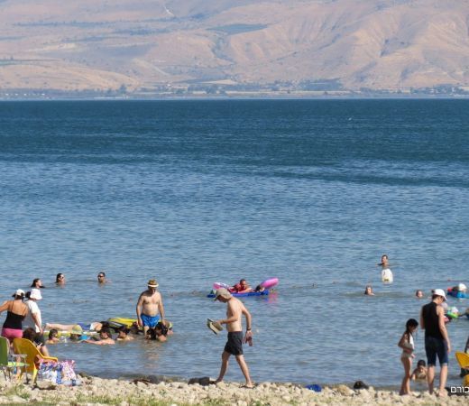 תמונה של אמבה "אוכלת מוח" בכנרת: אלו ההמלצות החדשות שפרסם משרד הבריאות - למטייל בישראל (טיולי)