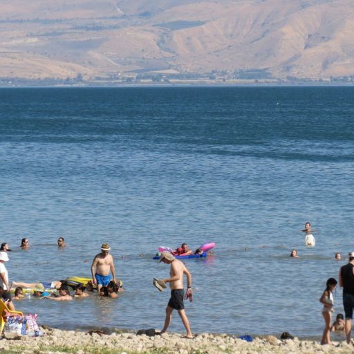 אמבה "אוכלת מוח" בכנרת: אלו ההמלצות החדשות שפרסם משרד הבריאות