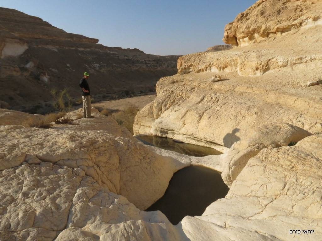 בדרך לגבים | צילום: יוחאי כורם