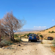 תמונה מתוך למטייל בישראל (טיולי)