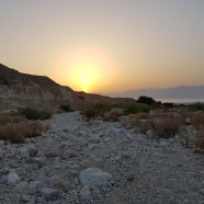 תמונה מתוך למטייל בישראל (טיולי)