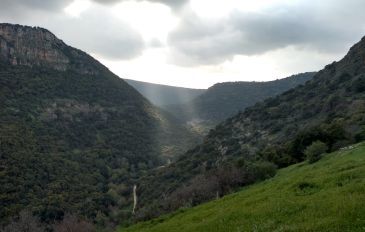 המסע מים לים - המסע מים לים דרך הרי הגליל - 4 ימים של טירוף חושים (3)