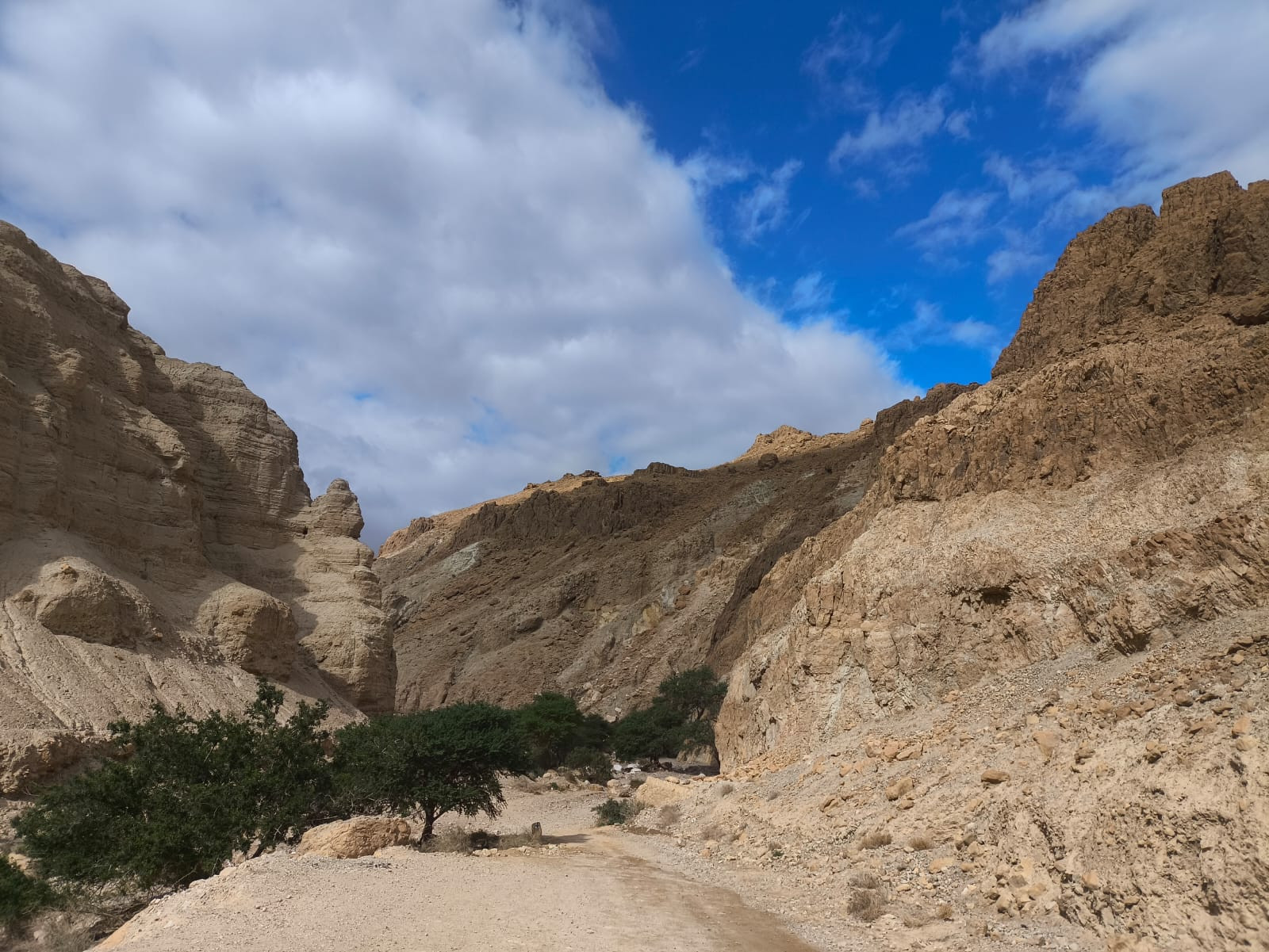 נחל יזרח | צילום: שי יודקובסקי