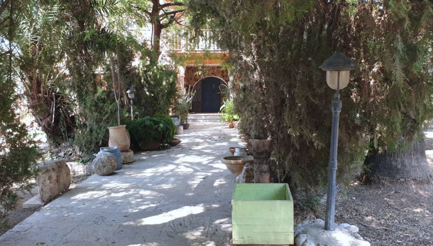 הבוסתן של חוה תפוחי. צילום: לירון בונאנו שטרן
