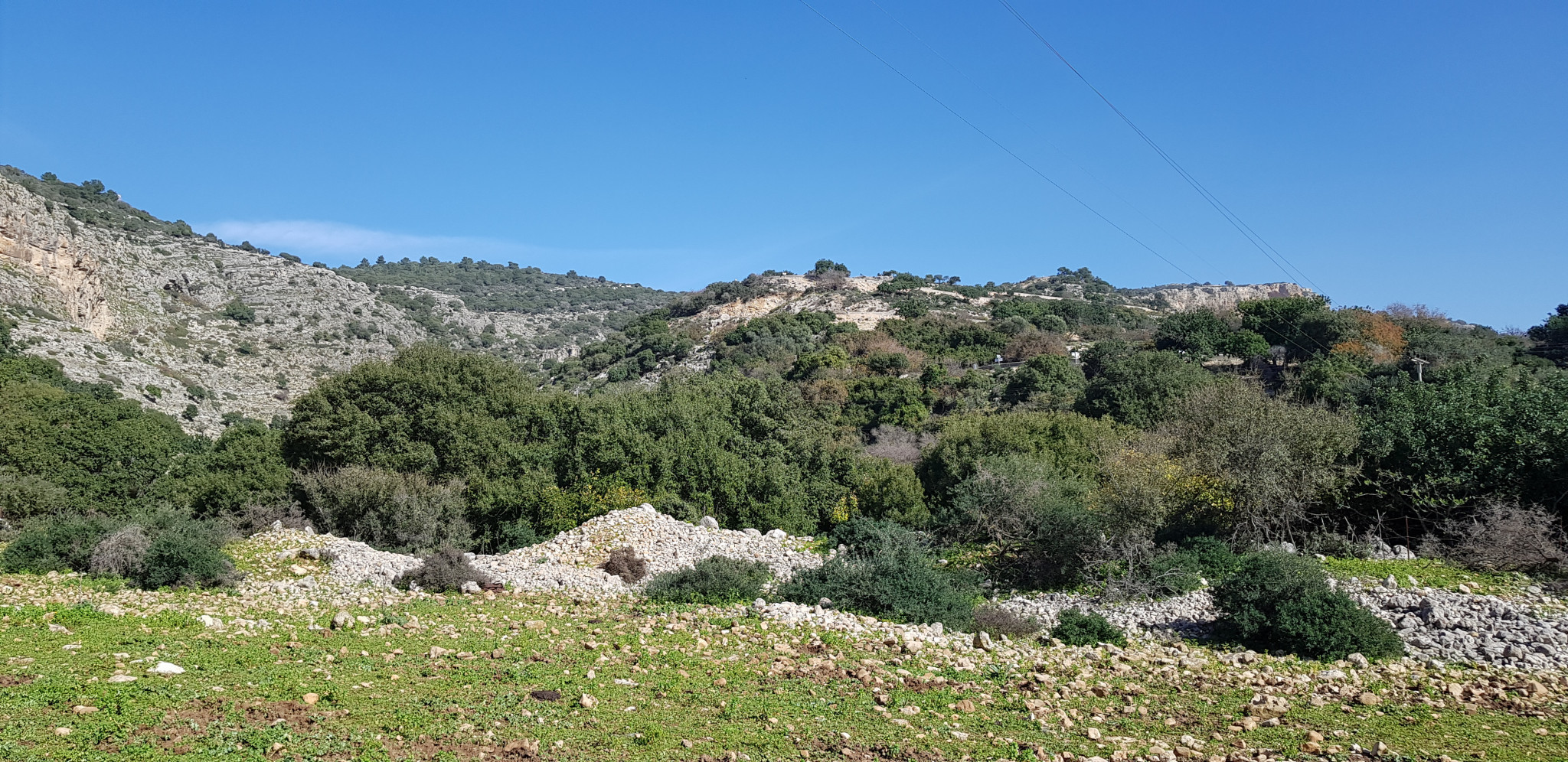 זה הנוף שמחכה לכם במסלול מנחל נמר אל יער חניתה | צילום: אביחי שקד