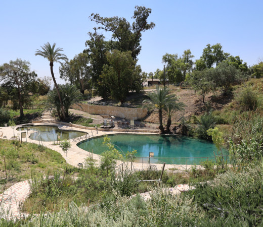 תמונה של מלחמת מים: 10 המעיינות האהובים בישראל - למטייל בישראל (טיולי)