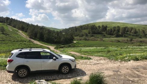 תמונה של טיול 4X4 רטוב לאורך נחל תנינים - למטייל בישראל (טיולי)