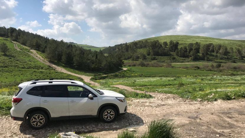 טיול 4X4 רטוב לאורך נחל תנינים (1)