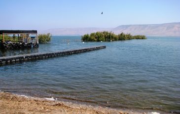 חופים בכנרת: 7 חופי הכנרת המומלצים לנופש (2)