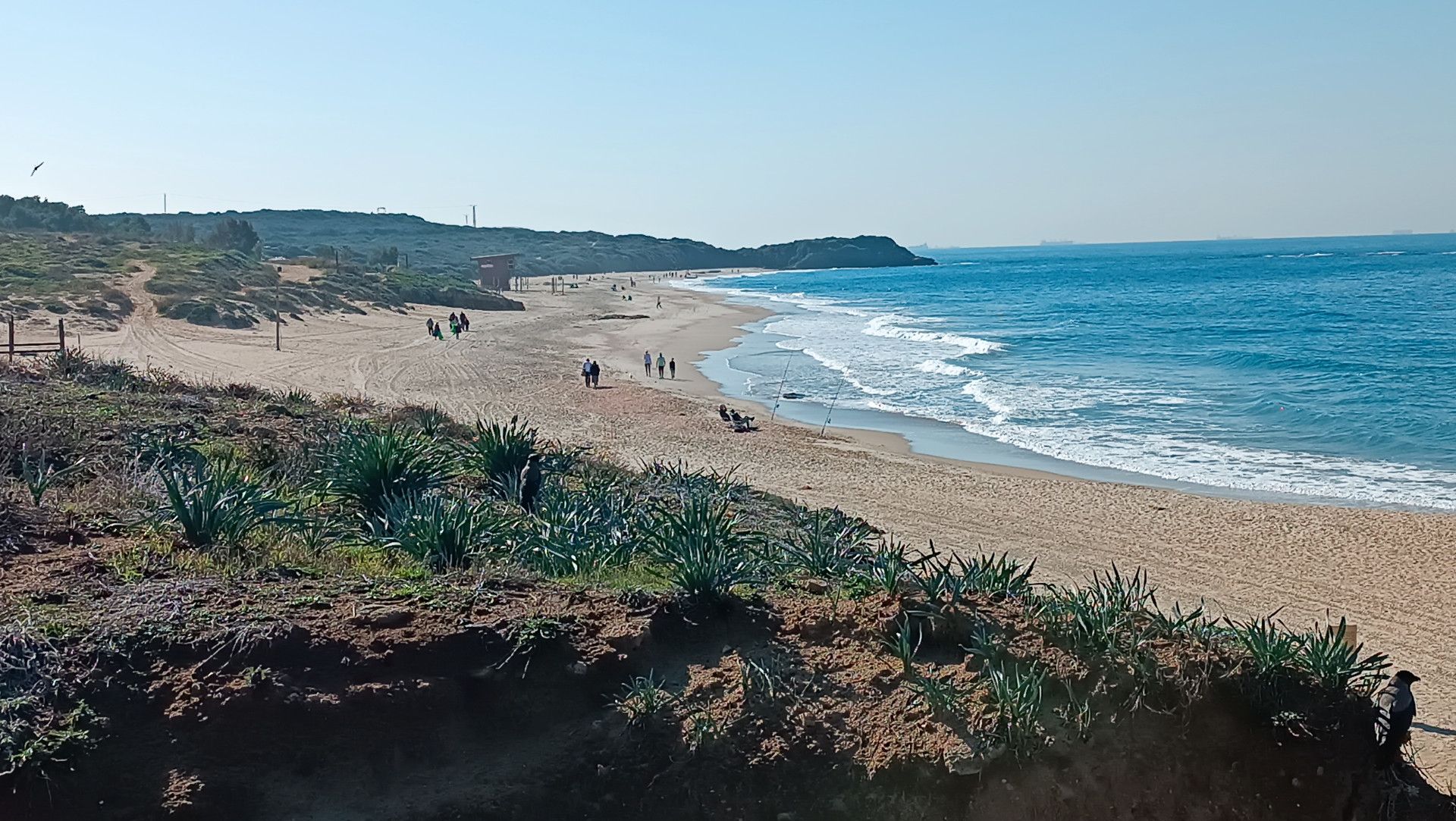 חוף פלמחים | צילום: שי קדם