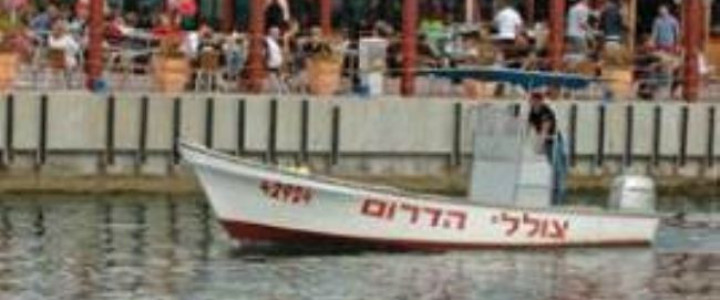 צוללי הדרום (1)