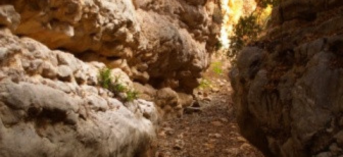 טיול לנחל עמוד (1)