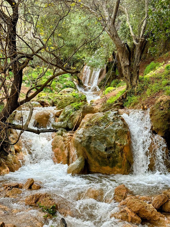 צפון הארץ | צילום: גילה יעקבי גורביץ