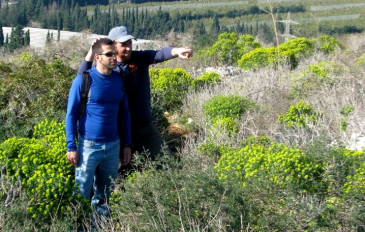 לטייל, ללקט ולאכול – ישר מהטבע - שווה לחפש אותם: 4 צמחי תבלין שתוכלו להבחין בהם ליד מסלולי טיול (2)
