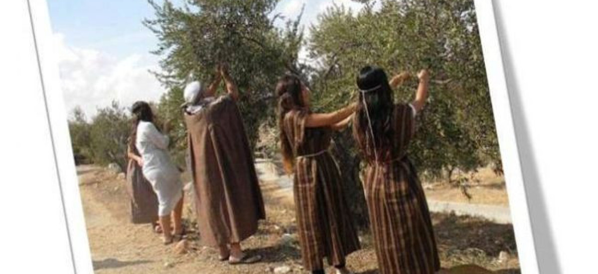 האור, שמן הזית- זה שם המשחק (1)