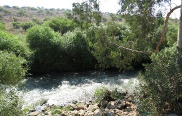הירדן ההררי: מסלול מעגלי ומסלול קווי בפארק הירדן (3)