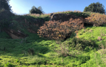 שמורת שער פולג - זה מדבק: טיולי פריחה במרחק קצר מהבית (2)