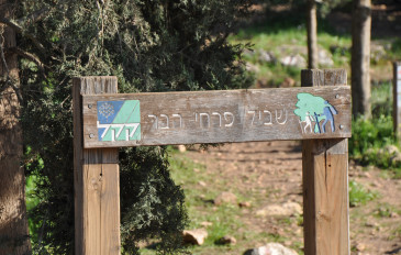 יער ראש העין (3)