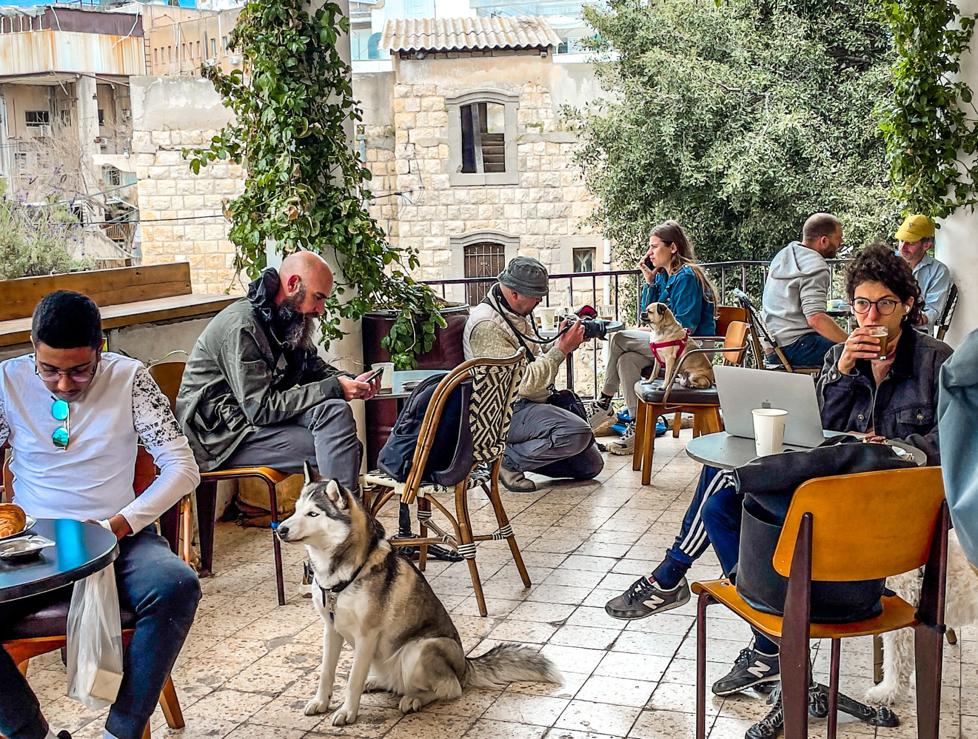 סירקין 21 | צילום: Travel Tuula