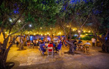 'קפה בארמון' בגן המלך - עיר דוד - גן  לאומי, סיורים ואטרקציות (2)