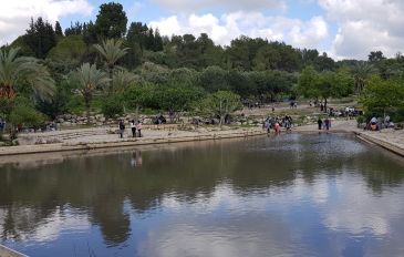 מאירים את סיפורי חנוכה באור חדש - עכשיו בפודקאסט על הדרך! (3)