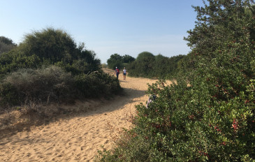 חרבת מלח - זה מדבק: טיולי פריחה במרחק קצר מהבית (3)