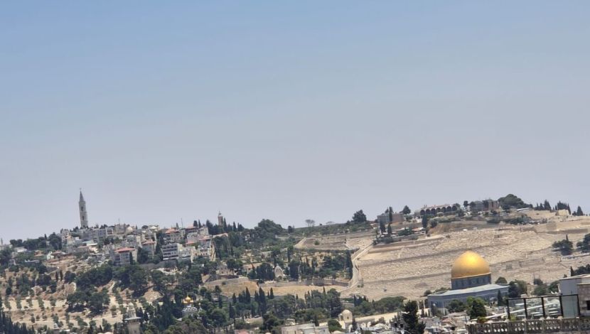 תצפית על העיר, סיור בשכונה פחות מוכרת, ביקור בסטודיו לאומנות טלאים (מי שמע על כך). (1)