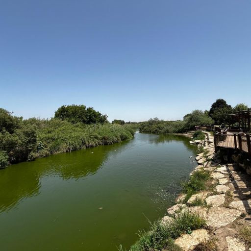 בדרך אל הים: טיול לצד אחד הנחלים היפים בשרון | המלצה לסופ"ש