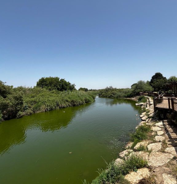 תמונה של בדרך אל הים: טיול לצד אחד הנחלים היפים בשרון | המלצה לסופ"ש - למטייל בישראל (טיולי)
