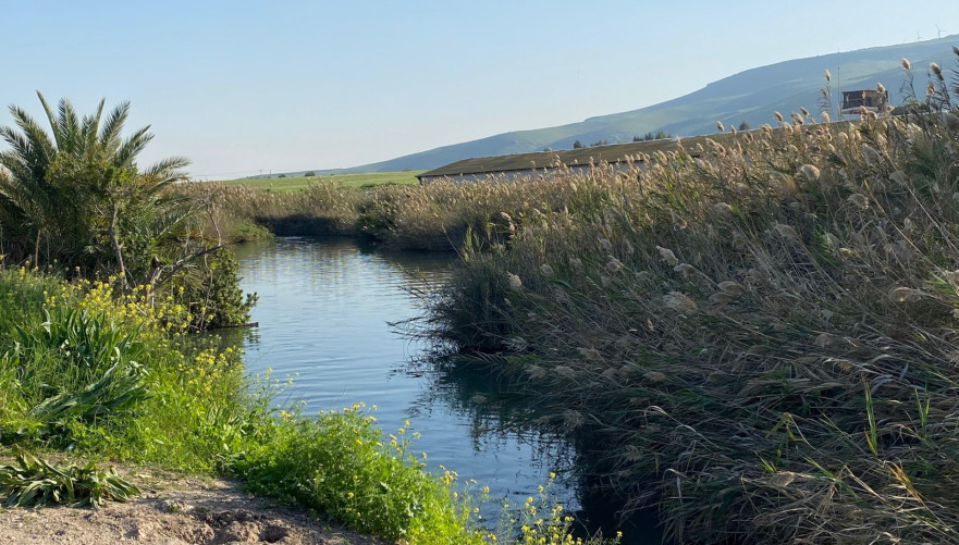 תמונה מתוך אתר למטייל בישראל (טיולי)