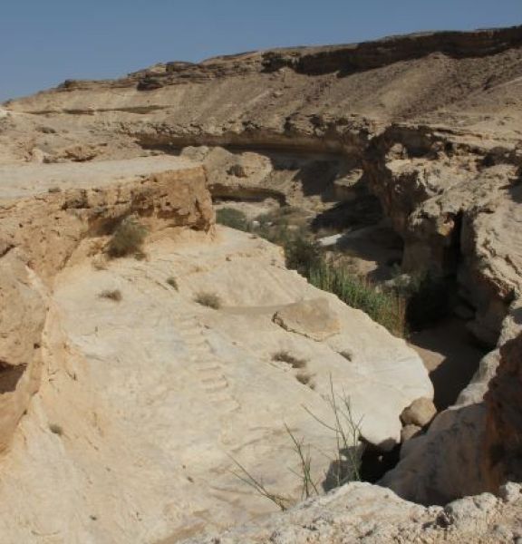 תמונה של המכתש הקטן ומעלה עלי - למטייל בישראל (טיולי)