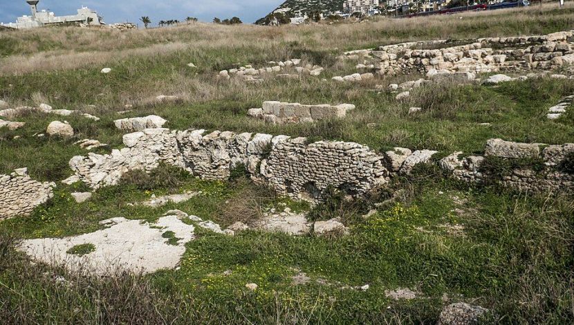תל שקמונה (1)