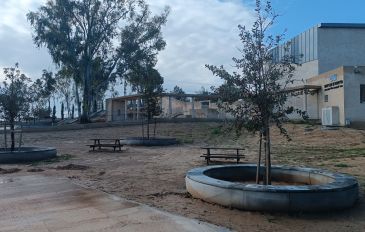 תיאטרון גברעם - פסטיבל דרום בלב 2026: כשהכלניות צובעות את הנגב המערבי (2)