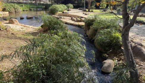 תמונה של פארק הזהב - קריית שמונה - למטייל בישראל (טיולי)